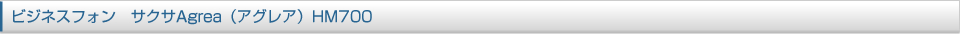 ビジネスフォン　サクサAgrea（アグレア）HM700